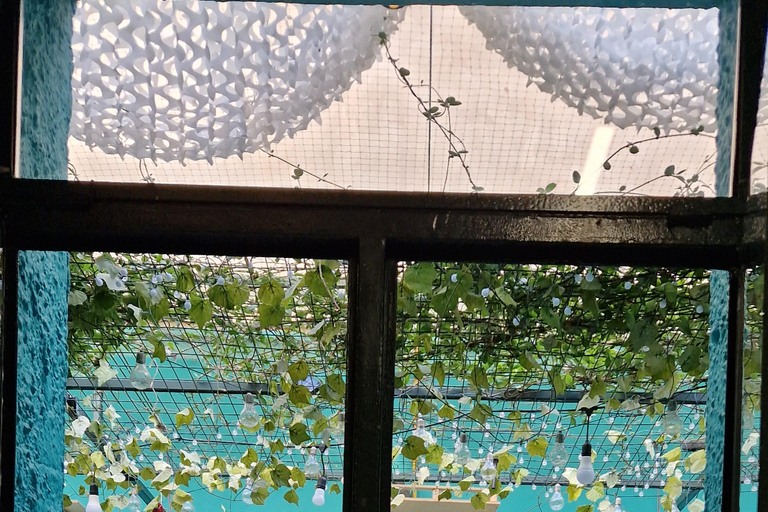 Atenas: visita a um café com gatos, com bebida e doceAtenas: Visita ao Cat Cafe com Drink and Sweet