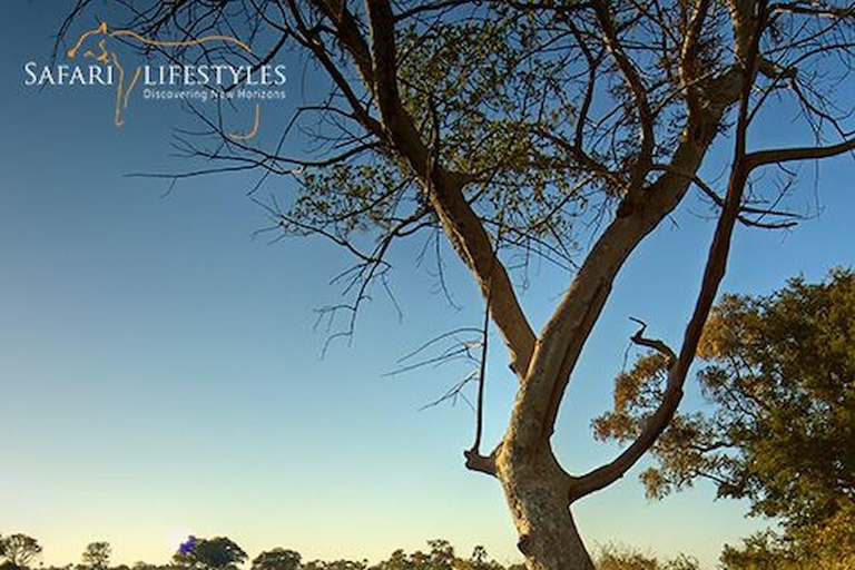 Maun: safari de 8 días por el delta del Okavango con acampada.Maun: safari de 8 días por el delta del Okavango con acampada