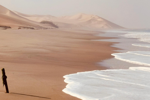 Small Group Sandwich Harbour 4x4 tour where dunes meet ocean