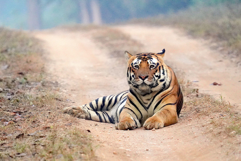Delhi: 2-Day Delhi & Taj Mahal Private Tour Tour without Accommodation