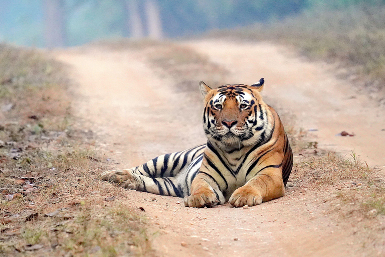 Delhi: 2-Day Delhi & Taj Mahal Private Tour Tour without Accommodation
