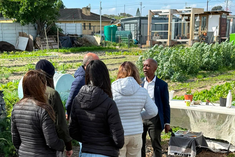Cape Town: Langa Township Walking Tour with Drumming