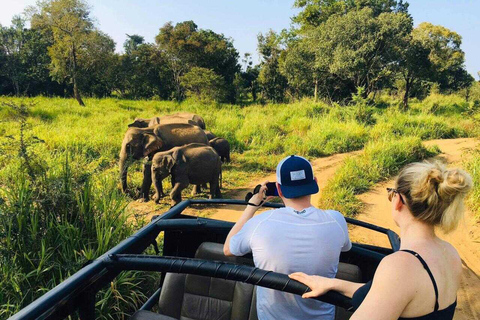 Sigiriya : Best of Sri Lanka - Cultural Tour