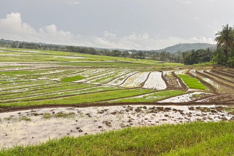 Yogyakarta: tour del Palazzo del Sultano, Borobudur e tramontoYogyakarta: Palazzo del Sultano, Borobudur e tour al tramonto