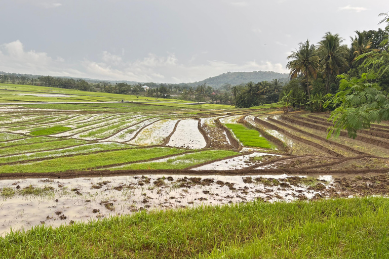 Yogyakarta: tour del Palazzo del Sultano, Borobudur e tramontoYogyakarta: Palazzo del Sultano, Borobudur e tour al tramonto