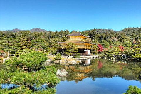 Kyoto: Visita guiada ao Kinkaku-ji Autumn Leaves 90 minutos