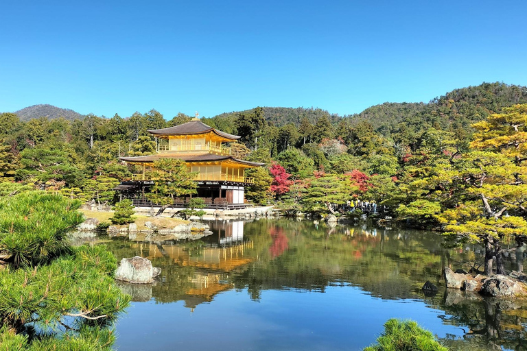 Kyoto: Kinkaku-ji Autumn Leaves Guided Tour 90 Minutes