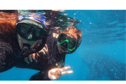 La Paz: Whale Shark Swim Tour with Snorkel Gear & Photos