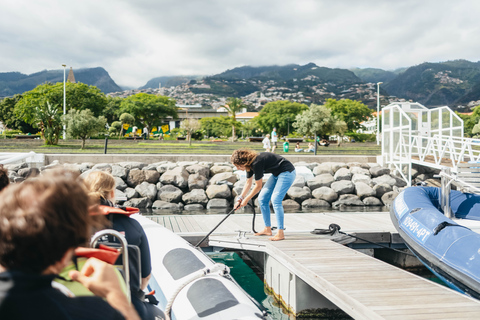 Depuis Funchal : Aventure avec les dauphins en bateau rapide