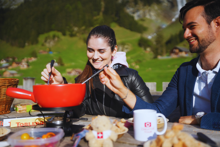 Von Zürich aus: Private Tagestour zu den versteckten Juwelen der Schweiz mit einem lokalen ReiseführerVon Zürich aus: Private Tagestour zu den versteckten Juwelen der Schweiz mi