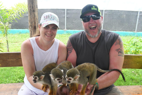 Puerto Plata: Exclusive Monkey Tour for Cruise Passengers