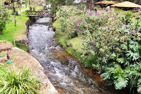 MEDELLIN : VISITE DE EL RETIRO+LA CEJA+SAN ANT PEREIRA+CARMEN VIBORAL+CHUTES D&#039;EAUMEDELLIN : VISITE DE RETIRO+LA CEJA+SAN ANT PEREIRA+CARMEN VIBORAL + CASCADES