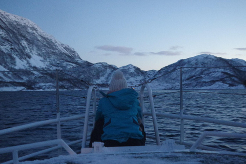 Safari por el mar en Tromsø