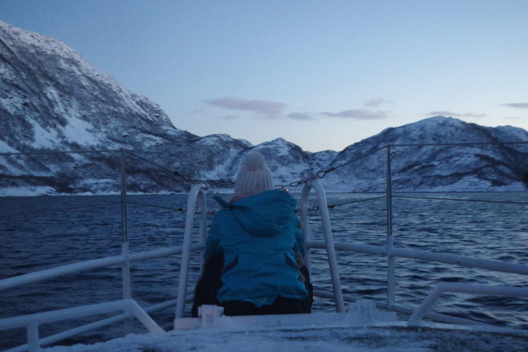 Tromsø sea safari