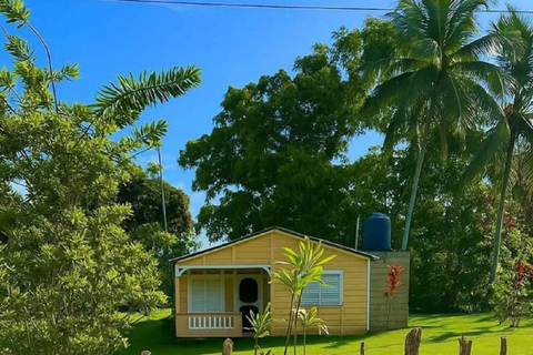 Puerto Plata: Buggy Adventure in the Countryside and Stop at the Beach