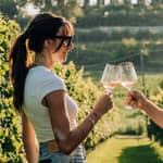 Lago di Garda: Degustazioni di vino e cibo nei vigneti