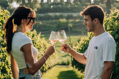 Lago di Garda: Degustazioni di vino e cibo nei vigneti