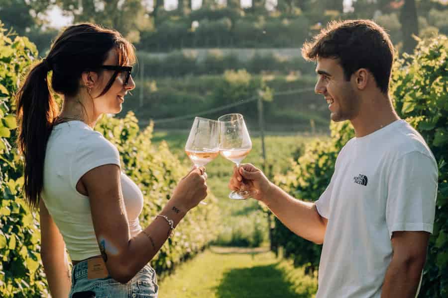 Gardasee: Wein- und Essensverkostungen in den Weinbergen