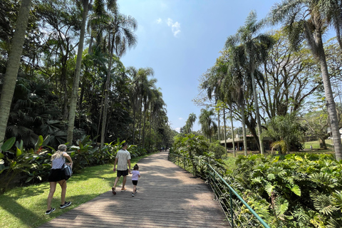 圣保罗：植物园与生物学家导览游（周末）生物学家带你游览圣保罗植物园