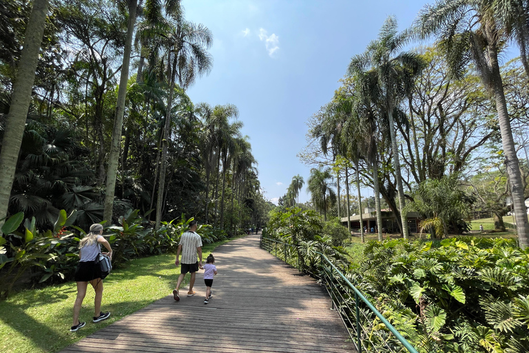 圣保罗：植物园与生物学家导览游（周末）生物学家带你游览圣保罗植物园