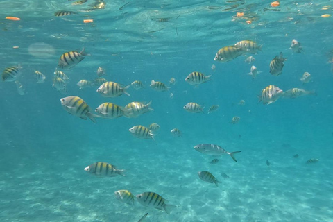 Excursão de meio dia ao Mar das Caraíbas com a Lagoa