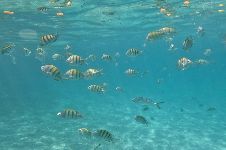 Karibiska havet med lagun halvdagsutflykt