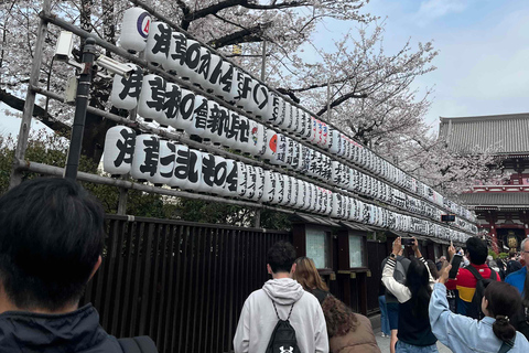Shore excursion: A Private Kyoto Tour From Osaka/Kobe Port Private Tour for Maximum 8 Travelers in the Group