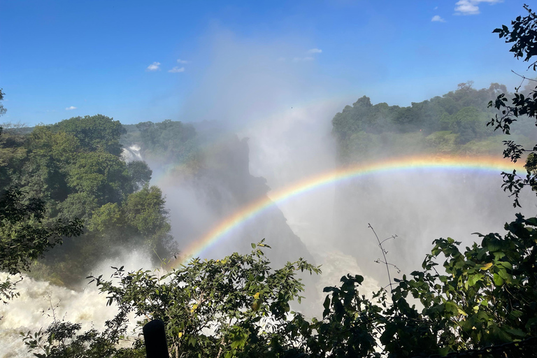 Victoria Falls: Guided Walking Tour with Local Female Guide