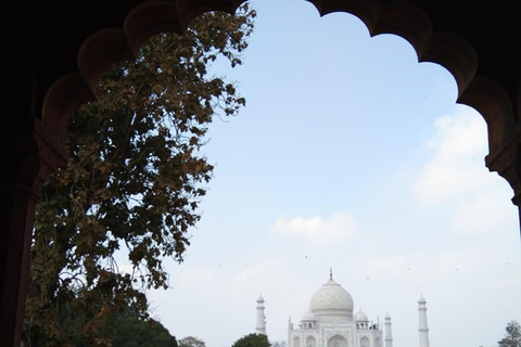 3 Day Tajmahal & Delhi tour with Ranthambore Tiger Safari Tour with Transportation and Guide only