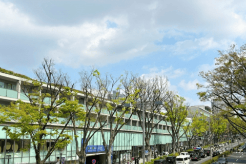 جولة طوكيو للثقافة الشعبية والتقاليد: من ضريح ميجي إلى هاراجوكو