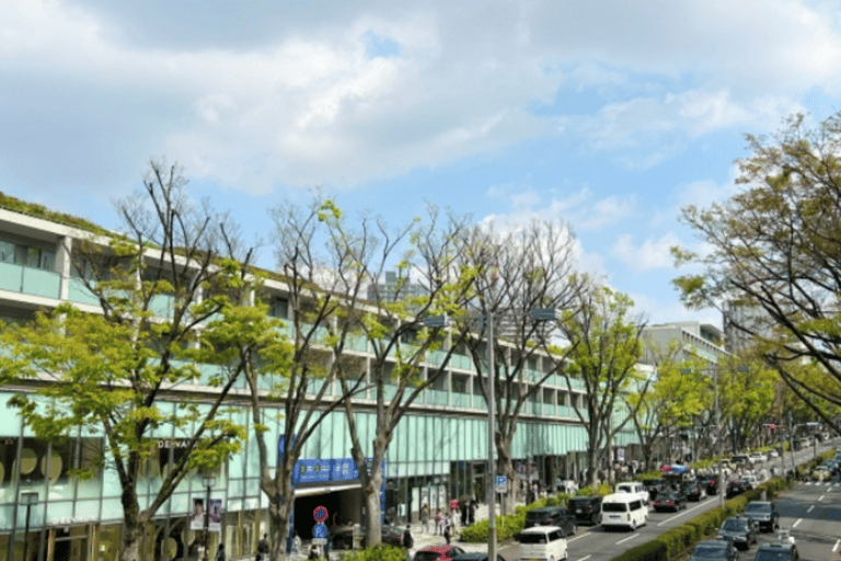 جولة طوكيو للثقافة الشعبية والتقاليد: من ضريح ميجي إلى هاراجوكو