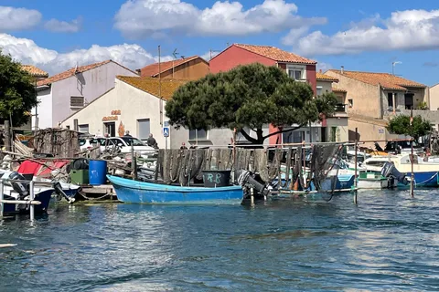 Montpellier : half-day trip walking tour in Sète and oysters