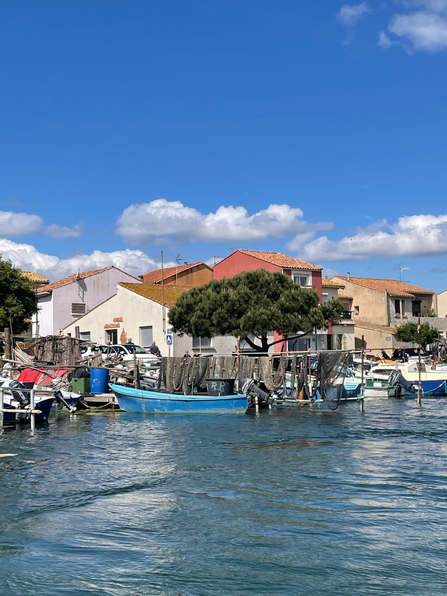 Montpellier: Halbtagesausflug zu Fuß in Sète und Austern
