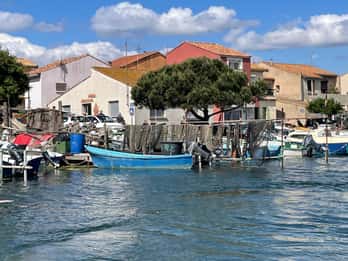 Montpellier : half-day trip walking tour in Sète and oysters
