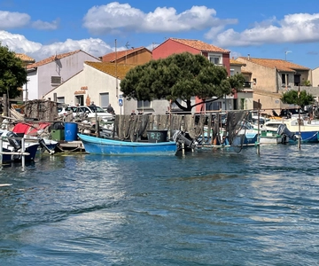 Montpellier : excursión de medio día a pie por Sète y ostras
