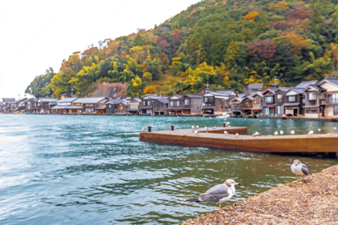 Amanohashidate & Ine Bay Tour With English Speaking Driver