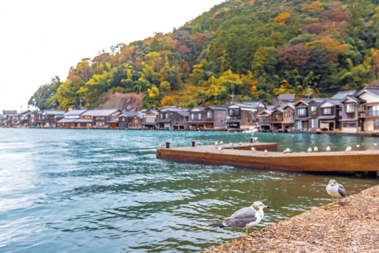 Amanohashidate & Ine Bay Tour With English Speaking Driver