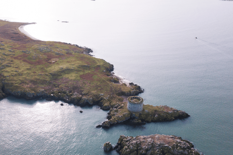 Dublino: Tour in barca della Baia di Dublino e dell&#039;Occhio d&#039;Irlanda