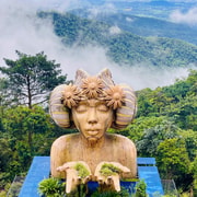 Tam Dao Tour Full Day Private Car ( Mist Mountain )
