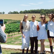 Hunter Valley: Premium Wine Tour with Tastings & Lunch