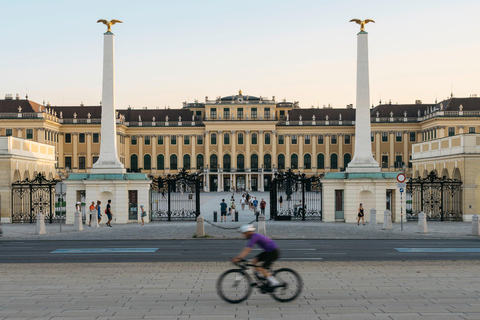 Tour privado de la ciudad de Viena incl. Palacio de Schönbrunn en monovolumen