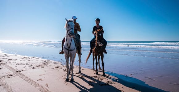 Seychelles: Beach & Jungle Horseback Riding Experience