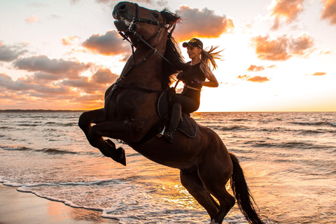 Desde Hurghada: Excursión a Caballo por la Bahía de Makadi