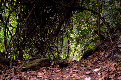 Duluti-See: Kanufahren, Naturwanderung und ExtraKajakfahren, Spaziergang in der Natur und Töpferkurs