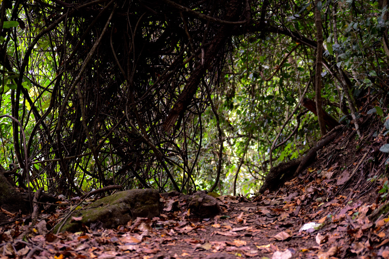 Duluti-See: Kanufahren, Naturwanderung und ExtraKajakfahren, Spaziergang in der Natur und Töpferkurs