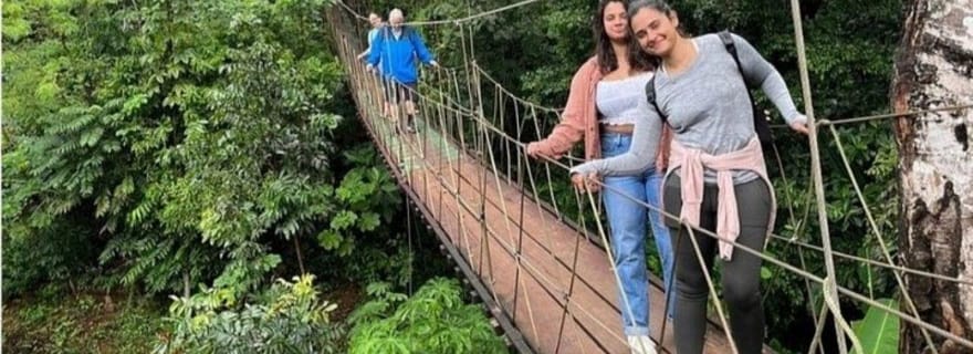 Roatan: tour dell'isola con scimmie, bradipi, uccelli, degustazione di cioccolato e rum