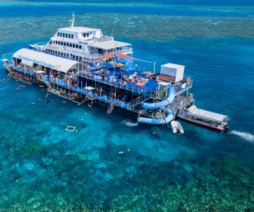Cairns: Outer Great Barrier Reef Pontoon with Activities