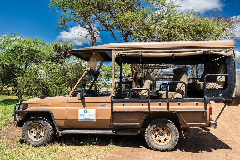 Depuis Zanzibar : Safari de nuit dans le Selous G.R. avec volssafari partagé