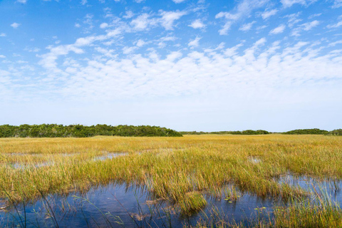Miami: Everglades Private Tour