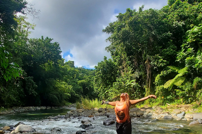 Von San Juan: Zip Line, Fluss und Luquillo Beach Tour